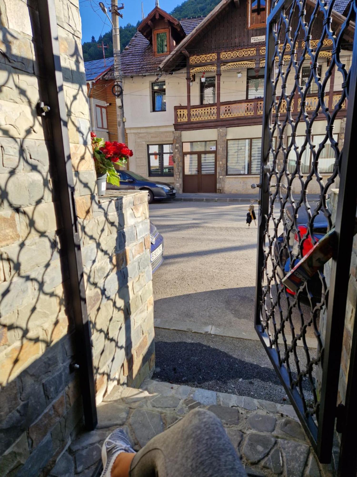 Sinaia Veche Villa Ngoại thất bức ảnh